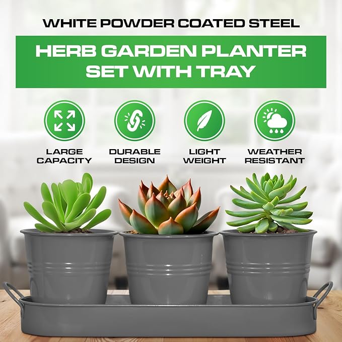 Plexon Herb Planter Indoor Garden Set of 3 with Tray, Metal Herb Pots for Indoor Plants, Round Kitchen Garden Kit Ideal for Windowsill Planter or Countertop, Gray Powder Coated