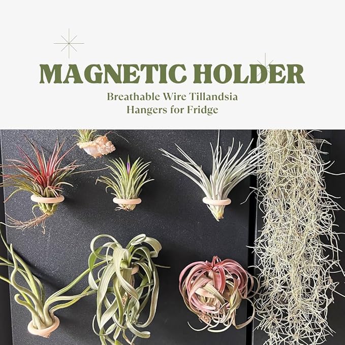 15-Pack Magnetic Air Plant Holders, Breathable Wire Tillandsia Hangers for Fridge & Metal Wall, Modern Miniature Plant Display Rings for DIY Fairy Gardens and Home Decor (1.2 Inch)
