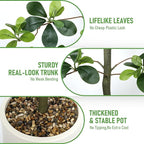 Faux Black Olive Tree 6FT,Artificial Tall Plant with White Planter and Stone,Potted Fake Tree with Natural Trunk,Artificial Plants Indoor for Home Office Living Room Corner Decor