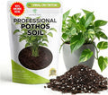 Professional Pothos Soil Potting Mix 2.2 Quarts Ready to Use, Premium Indoor Plant Soil for Pothos Plants, Pothos Dirt with Peat Moss Coco Coir Perlite Dolomite, Made in USA
