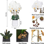 Orchids Artificial Plant in Ceramic Pot 18.5" Faux Orchid Phalaenopsis Flowers Arrangement for Home Office Table Centerpiece Indoor Decor, White