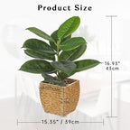Briful Fake Plants Potted Oak Artificial Plants Indoor Realistic Greenery Faux Plants in Square Plastic Rattan Baskets for Home Decor Farmhouse Office Weddings