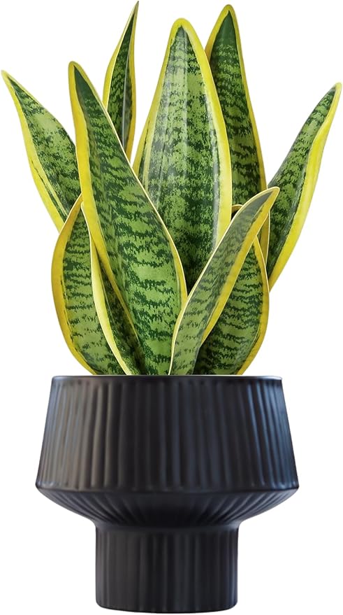Wide Top Modern Handmade Metal Indoor Planter with Unique Shape, Vertical Grooved Design and Anti-Scratch Pads, Rust-Resistant Finish that is Sustainable Non-Plastic Pot Recyclable Metal Vase (Black)