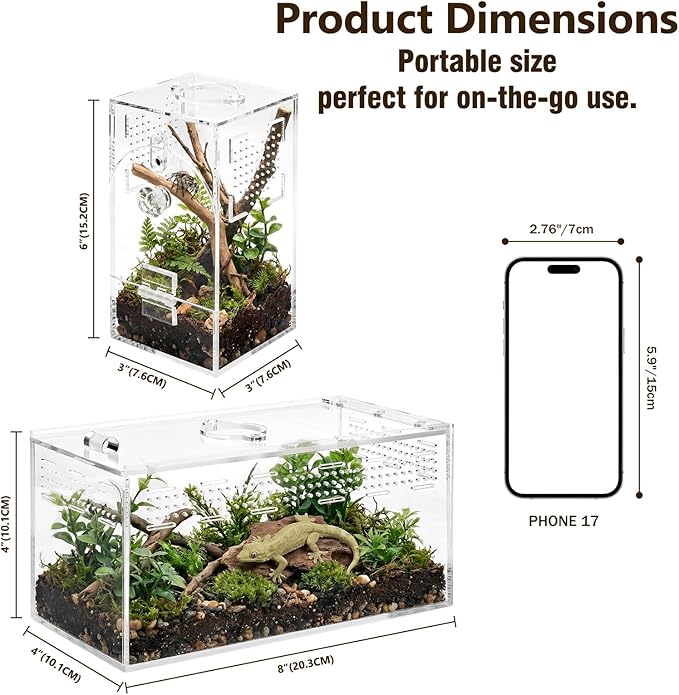 Jumping Spider Enclosure Set, Terrestrial Arboreal Combo, Acrylic Tarantula Terrarium, Praying Mantis Habitat, No Assembly, 2-Size Kit, Medium