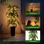 Artificial Dracaena Tree with Lights, 5Ft Fake Plants with Black Tall Planter - Fake Tree Tall Faux Plants Indoor Floor Plant with Moss - Artificial Plants Indoor for Office Living Room Home Decor