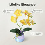 Artificial Orchid with 3D Printed Vase, Lifelike Fake Phalaenopsis Orchid Flowers, Realistic Silk Orchids for Home Decor Living Room (Yellow)