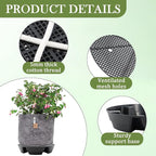5-Pack 12" Self Watering Pots for Indoor Plants, Plastic Plant Saucer, Bottom Plant Water Catcher Tray, Indoor/Outdoor Greenhouse Garden Auto-Irrigation System for 5 Gallon Fabric Grow Bag