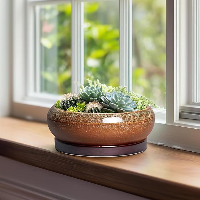 Bonsai Tree Pots - 8 Inch Ceramic Succulent Planter Indoor Outdoor, Bonsai Pots with Drainage Hole and Saucer, Shallow Plant Pots, Round Planters, Kitchen Decor, Gifts for Women, Retro Brown