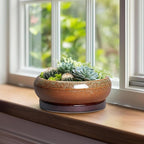 Bonsai Tree Pots - 8 Inch Ceramic Succulent Planter Indoor Outdoor, Bonsai Pots with Drainage Hole and Saucer, Shallow Plant Pots, Round Planters, Kitchen Decor, Gifts for Women, Retro Brown