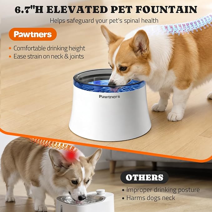Pawtners Pet Dog Water Fountain with Vortex Filter, 1 Gal/3.5L Water Bowl Dispenser for Medium Small Dog/Cat, Automatic No Spill Cat Fountain for Inside, Deep Drinking Area and Quiet Pump, 6.7" H