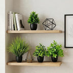 LOYWREE 4 Pack Mini Fake Plants Small Artificial Greenery Potted Plants in Black Pots for Home Office Desk Table Bathroom Farmhouse Room Decor