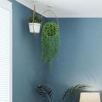 LOYWREE 2 Pack Lifelike Artificial String of Pearls Plant - Faux Hanging Succulent with Black Pot, Realistic Trailing Fake Plant for Indoor Outdoor Shelf Desk Window Sill Home Garden Office Decor
