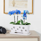 10 * 4.3 * 4.3Inch Rectangle Ceramic Orchid Pot with Holes & Saucer White Effective Drainage & Ventilation for Indoor Orchids ﻿
