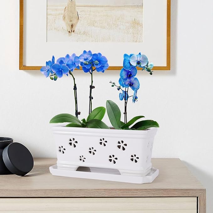 10 * 4.3 * 4.3Inch Rectangle Ceramic Orchid Pot with Holes & Saucer White Effective Drainage & Ventilation for Indoor Orchids ﻿