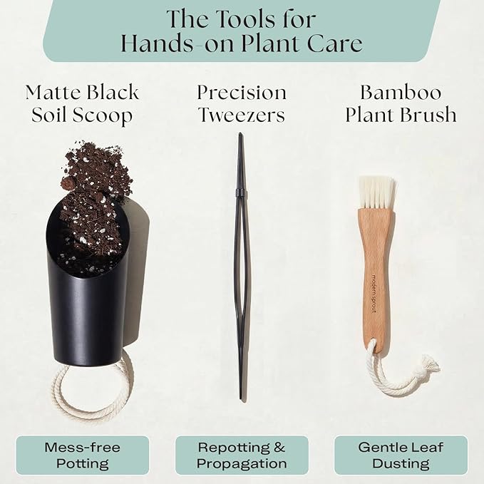 Rosy Soil Indoor Plant Parent Gift Set for Mother's Day - Houseplant Potting Soil with Modern Sprout Terracotta Watering Bulb, Soil Scoop, Plant Brush & Tweezers