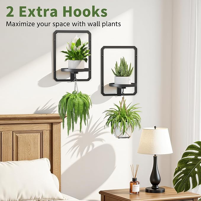 LASZOLA Plant Hangers Holder Wall Mount for Indoor Window, 2 Pack Floating Flower Stand Shelf with Hooks, Metal Picture Frame Hanging Planter Display Decor for Kitchen Bathroom, Black