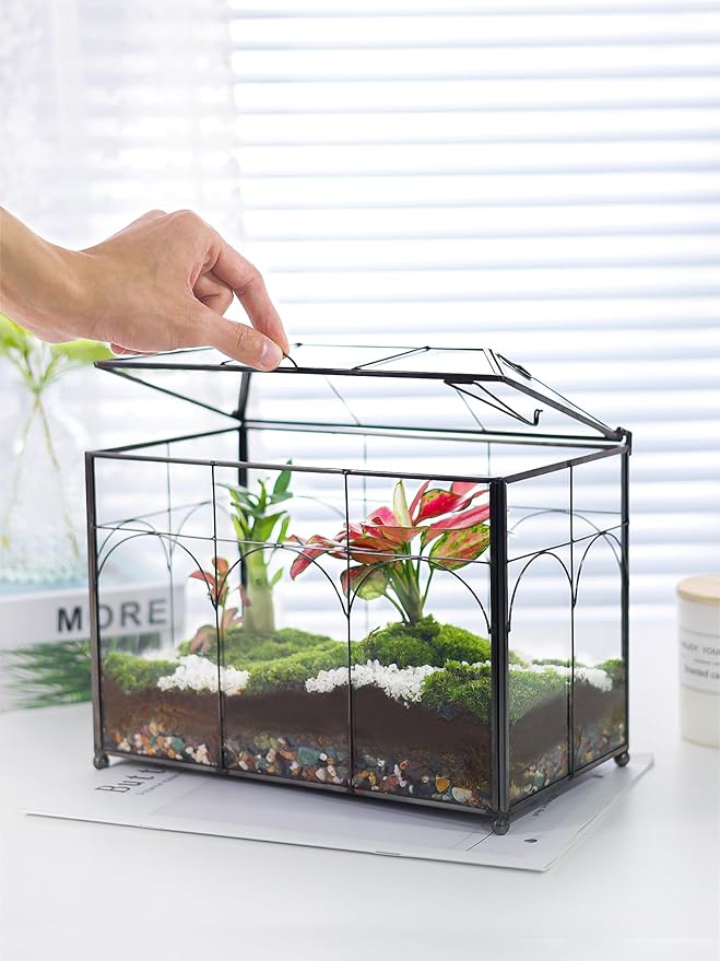 REDHUGO Handmade Glass Planter Terrarium with Lid, Indoor Tabletop Centerpiece Display Box Modern Decor DIY Gift Plant Terrarium Container for Succulent Cacti Air Plants Flower (Black)