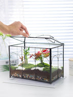 REDHUGO Handmade Glass Planter Terrarium with Lid, Indoor Tabletop Centerpiece Display Box Modern Decor DIY Gift Plant Terrarium Container for Succulent Cacti Air Plants Flower (Black)