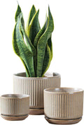 Speckle Gray Ceramic Plant Pots Set of 3, 4.3+5.5+6.7 Inch Indoor Flower Pot with Drainage Hole & Saucer & Hole Pads, Striped Decorative Planter Set for Indoor Plants, Gardening Pots & Accessories
