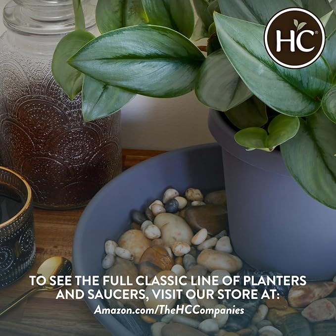 The HC Companies 14 Inch Round Plastic Classic Plant Saucer - Indoor Outdoor Plant Trays for Pots - 14"x14"x2.5" Chocolate