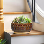 Bonsai Pots - 8 Inch Ceramic Planter with Drainage Hole and Saucer, Boho Round Shallow Succulent Bowl for Indoor Plants Flower, Room Decor, Gifts for Plant Lovers, Brown