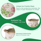Ceramic-Planters-for-Indoor-Plants with Saucer, 6 inch Vintage Ice Crack Glaze Plant Pots with Drainage Holes, Decorative Flower Pots for Outdoor Garden Home Decor, Tuscan Pot for Plant