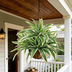 8Pcs Fake Ferns,2 Planter 35in Outdoor Faux Plants UV Resistant,3D Real Touch Fake Plants Total 120 Blades,Weatherproof Artificial Plants Outdoor Indoor for Garden Porch Home Decor