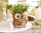 Saysmile Unique Owl Plant Pots Indoor, Cute Small Succulent Pots with Drainage Hole, Watering Owl Planters for Indoor Outdoor Plants, Resin Flower Pot for String of Pearls, Gift Ideas for Mother