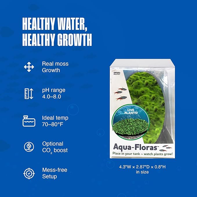 Penn-Plax Aqua Flora Moss Patch - Aquarium Living Resin Decoration with Embedded Glosso Seeds - Easy-Grow Freshwater Moss for Natural Aquascapes - Safe Resin Decor - Green, 4.3 x 2.87 x 0.8 Inches