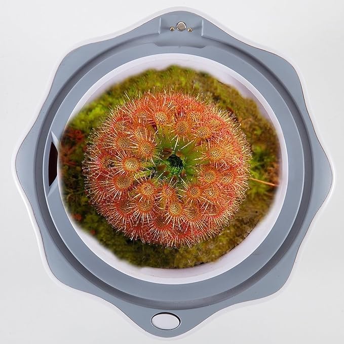 Venus Fly Trap Terrarium Pot with Timer Grow Light&Fan,Plant Terrarium kit for Moss&Cactus,Smart Planter for Carnivorous Plants&Butterwort,Mother's Day Birthday Gifts for Women Garden Lover(no Plant)