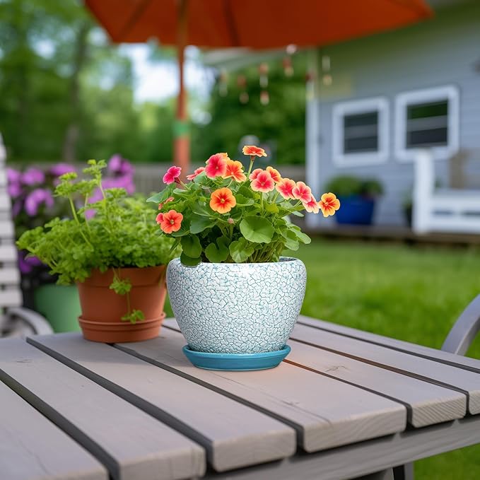 Ceramic Plant Pot - 6 Inch Indoor Planters for Succulent Plants, Round Decorative Flower Pot with Drainage Hole and Saucer, Small Plant Pots, Room Decor, Gifts for Gardeners, Crackle Blue