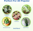Omitgter Succulent and Cactus Soil Potting Mix 2qt-Premium Breathable & Fast Draining for Healthy Plants