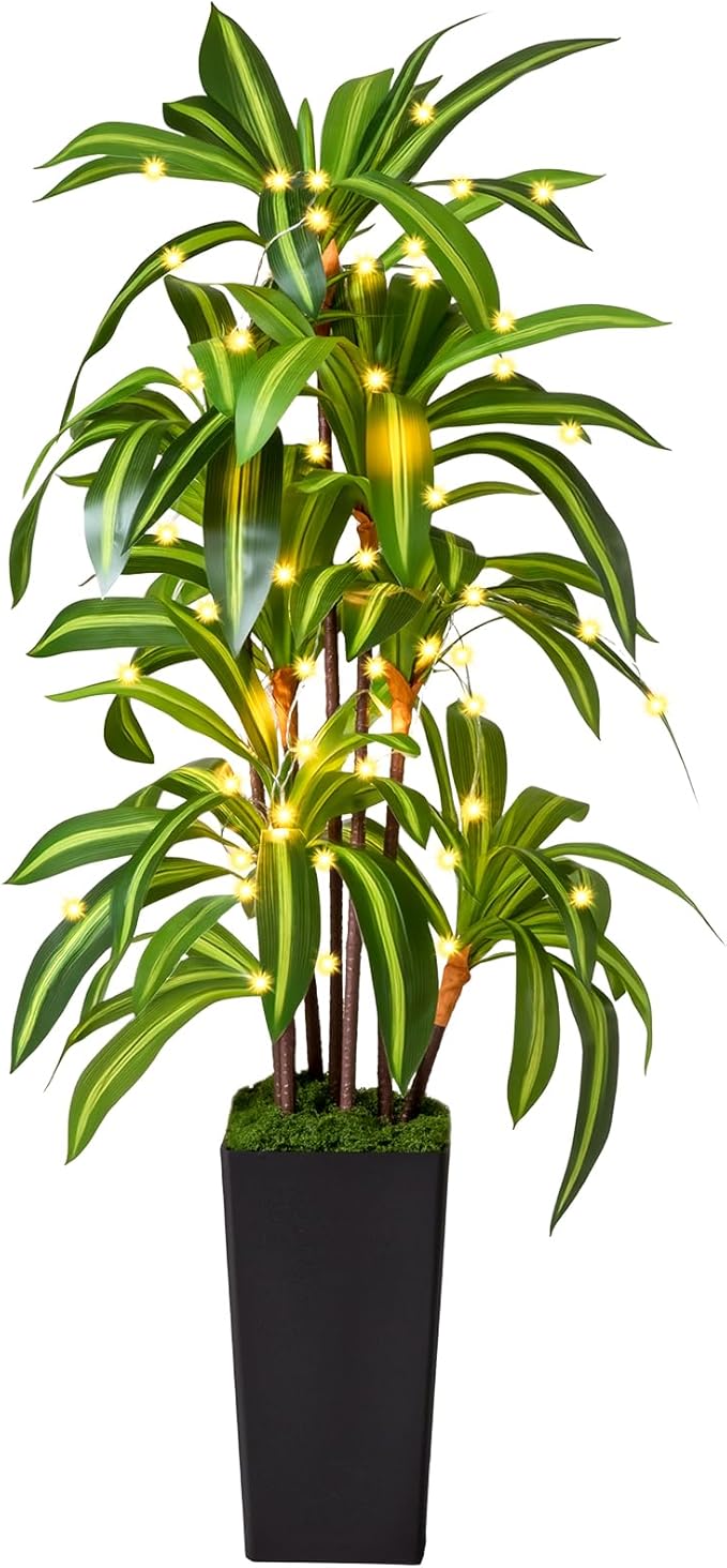 Artificial Dracaena Tree with Lights, 5Ft Fake Plants with Black Tall Planter - Fake Tree Tall Faux Plants Indoor Floor Plant with Moss - Artificial Plants Indoor for Office Living Room Home Decor
