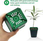 RooTrimmer Square Seedling Nursery Pots 3.15 Inches 100 Pcs for Small Succulents or Cacti Flower Plastic Pots Sturdy Reusable (Green, 3.14Inches,100Pcs)
