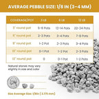 1/8 Inch Aquarium Gravel, Small Pebbles for Fish Tank & Indoor Plants, Natural Mini River Rocks for Succulent Soil Mix, Drainage, Terrarium & Vase Filler - Gray, 6 lb