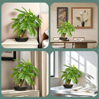 16 Inch Fake Money Tree, Artificial Bonsai Money Tree for Good Luck Fortune, Small Faux Potted Plant for Home Office Desk Living Room Bedroom Decor