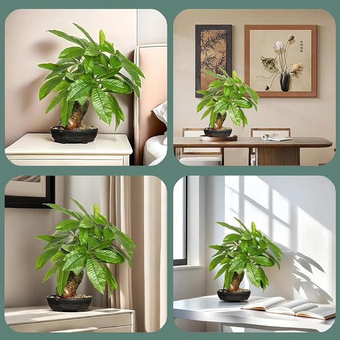 16 Inch Fake Money Tree, Artificial Bonsai Money Tree for Good Luck Fortune, Small Faux Potted Plant for Home Office Desk Living Room Bedroom Decor