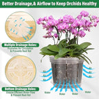 12 Pack Plastic Orchid Pots with Holes, 4, 5, 6 Inch Clear Orchid Pots for Repotting with Saucers Drainage and Plant Stakes, Large Small Breathable Orchids Planter Plant Pot