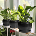 SQOWL Ceramic Flower Pot - 10 Inch Planter with Drainage Hole and Saucer, Modern Large Plant Pot Indoor Outdoor, Decorative Round Planter, Bedroom Decor, Gifts for Plant Lovers, Black