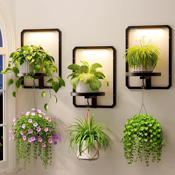 LASZOLA Plant Hangers Holder Wall Mount Indoor Window with 3 Grow Light, 3 Pack Floating Flower Stand Shelf with Hooks, Metal Picture Frame Hanging Planter Display Decor for Kitchen Bathroom, Black