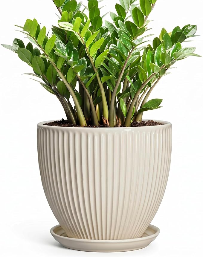 Ceramic Plant Pots, 10 Inch Pots for Plants with Drainage Hole and Saucer, Round Flower Pot for Indoor Plants, Decorative Indoor Planter, House Porch Decor, House Warming Gifts, Cream White