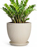 Ceramic Plant Pots, 10 Inch Pots for Plants with Drainage Hole and Saucer, Round Flower Pot for Indoor Plants, Decorative Indoor Planter, House Porch Decor, House Warming Gifts, Cream White