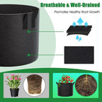 FEED GARDEN 10 Gallon Grow Bags 8 Pack – 300G Thickened Fabric Plant Pots with Reinforced Handles, Breathable Drainage Planters for Vegetables, Tomatoes, Herbs, Indoor & Outdoor Gardening