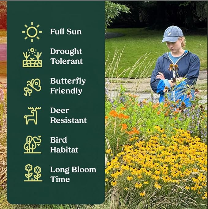 Coral Honeysuckle 6 Live Plants (Lonicera sempervirens) – Native Flowering Vine for Hummingbird & Pollinator Gardens, Deer Resistant, Low Maintenance Climbing Plant for Full Sun