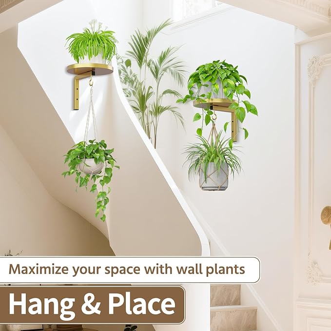 LASZOLA Plant Hangers Shelves Wall Mounted Indoor, Metal Window Plant Holders, 2Pcs Modern Floating Flower Display Stand with 2 Hooks for Outdoor Kitchen Bathroom Decor, Gold