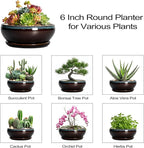 SQOWL Succulent Pots with Drainage Hole - 6 Inch Ceramic Bonsai Tree Pots, Shallow Planter with Saucer, Round Plant Pot for Succulent Indoor Outdoor, Porch Decor, Gifts for Plant Lover, Blue-Brown