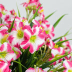 LikSoor Outdoors Artificial Flowers Spring Summer Decor Fake Petunias UV Resistant Flower Faux 12 Bundles Realistic Plastic Plant Porch Patio Window Box Garden Decoration (Rose Red)