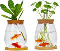 Desktop Plants Terrarium Propagation Station Hydroponic Planters Retro Oval Glass Vase with Lid and Stand Home Office Decoration Gifts 2 Pack