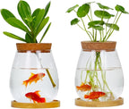 Desktop Plants Terrarium Propagation Station Hydroponic Planters Retro Oval Glass Vase with Lid and Stand Home Office Decoration Gifts 2 Pack