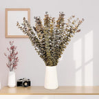 Tavkite 16 Pcs Dried Eucalyptus Stems, 17'' Natural Fresh Eucalyptus Leaves Branches Hanging for Shower, Preserved Real Yellow Plant Live for Home SPA Wall Bathroom Wedding Party Vase Decor